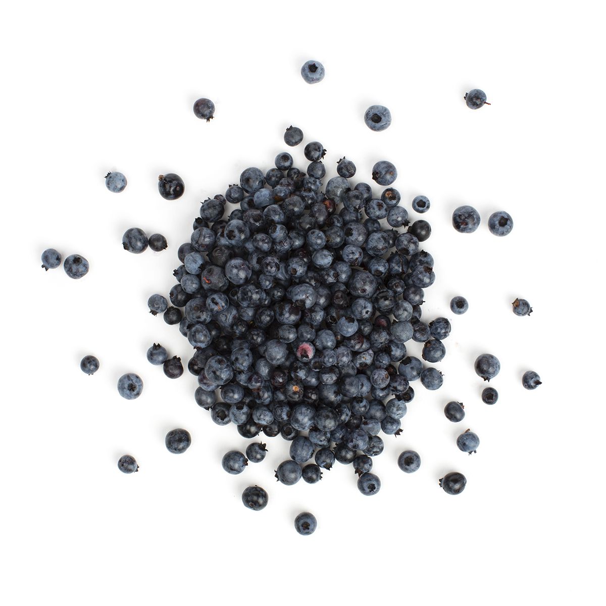 Wholesale BoxNCase Wild Blueberries 1 PT-12ct Case Bulk