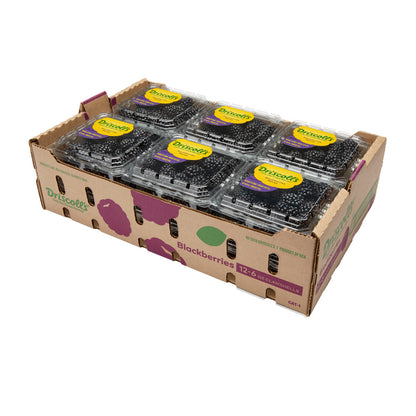 Wholesale Driscoll'S Blackberries 6 OZ- Bulk