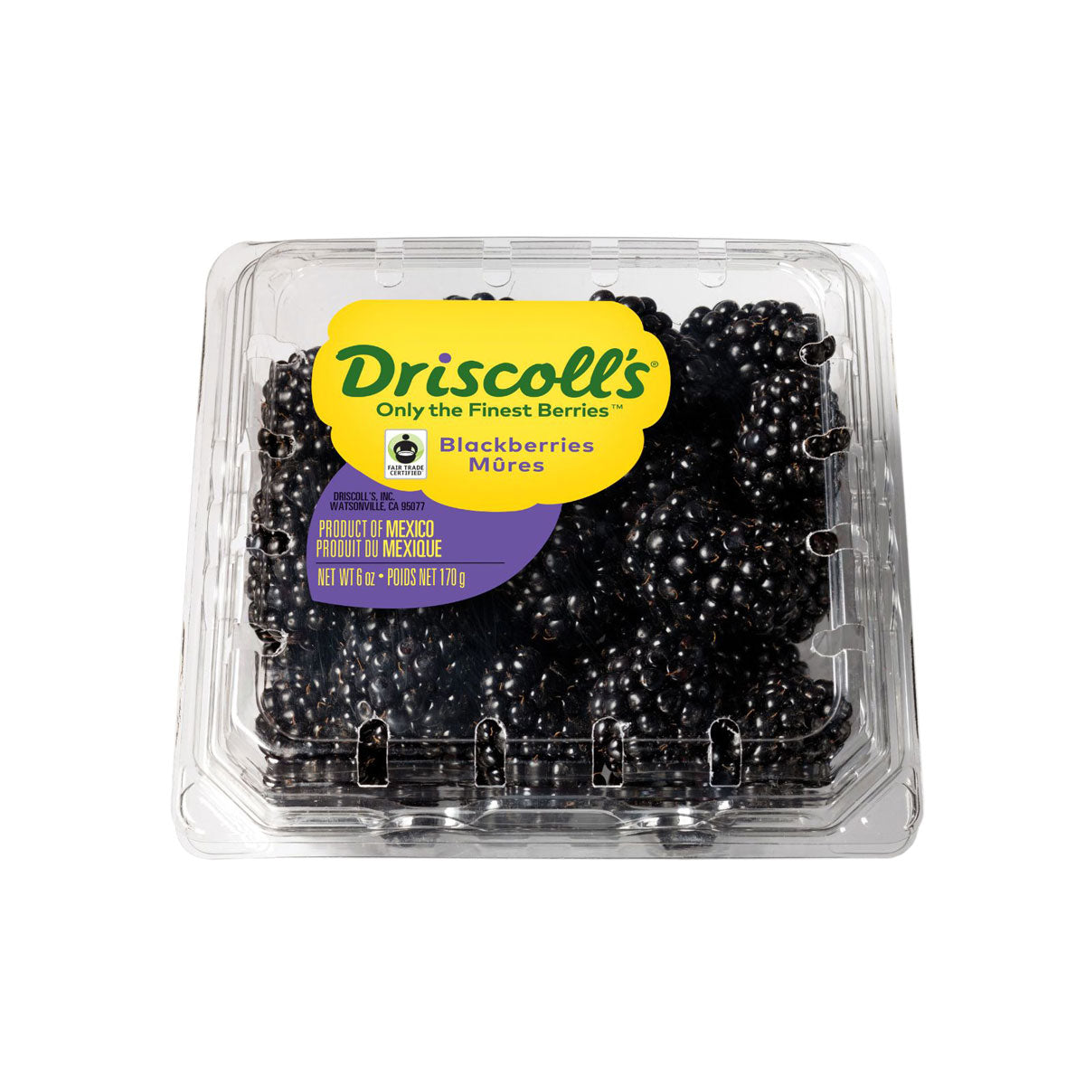 Driscoll'S Blackberries 6 OZ