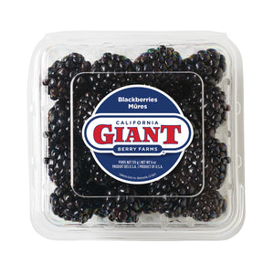 Wholesale California Giant Berry Farms Blackberries 6 Oz Box-12ct Case Bulk