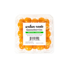 Wholesale BoxNCase Peeled Goldenberries 4.4 OZ- Bulk