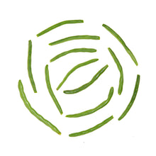 Wholesale BoxNCase Snipped String Beans 2 End Cut 5 LB- Bulk