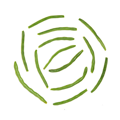 Wholesale BoxNCase Snipped String Beans 2 End Cut 5 LB- Bulk