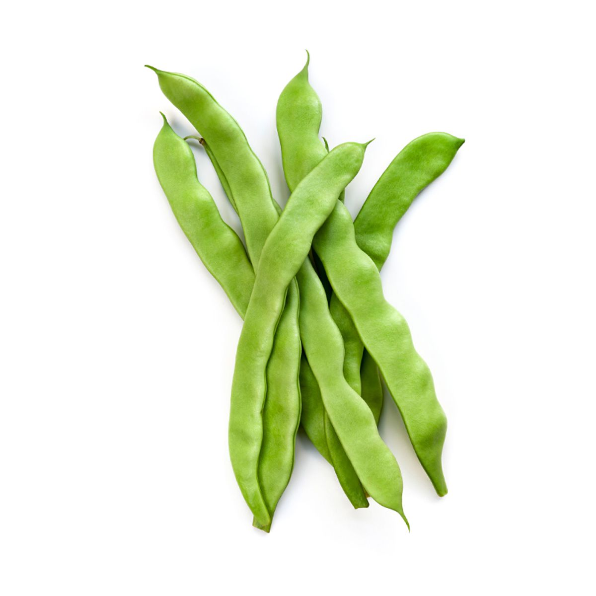 Wholesale BoxNCase Dutch Runner Beans-8.8 LB Bulk