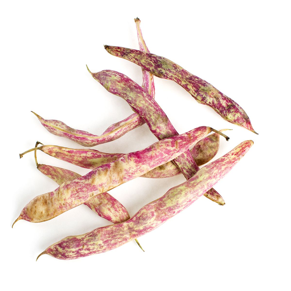 Wholesale BoxNCase Cranberry Beans 25 lb- Bulk