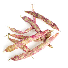 Wholesale BoxNCase Cranberry Beans 25 lb- Bulk