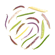 Wholesale Ward'S Berry Farm Bean Medley- Bulk