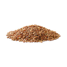 Wholesale BoxNCase Brown Lentils-25 LB Bulk