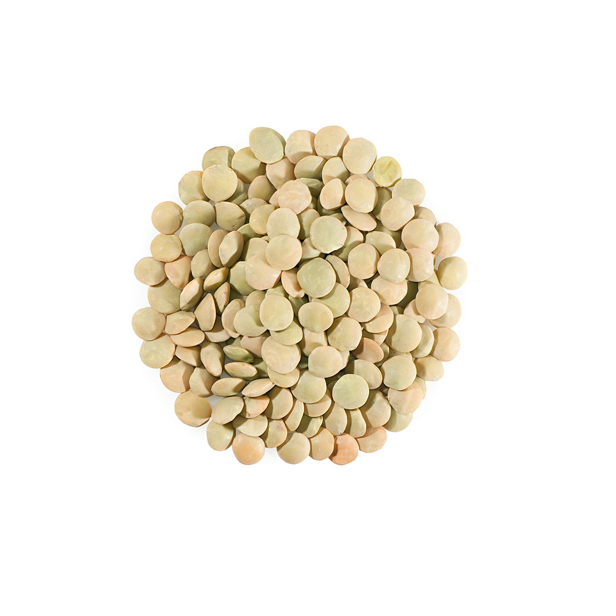 Wholesale BoxNCase Green Lentils-10 LB Bulk