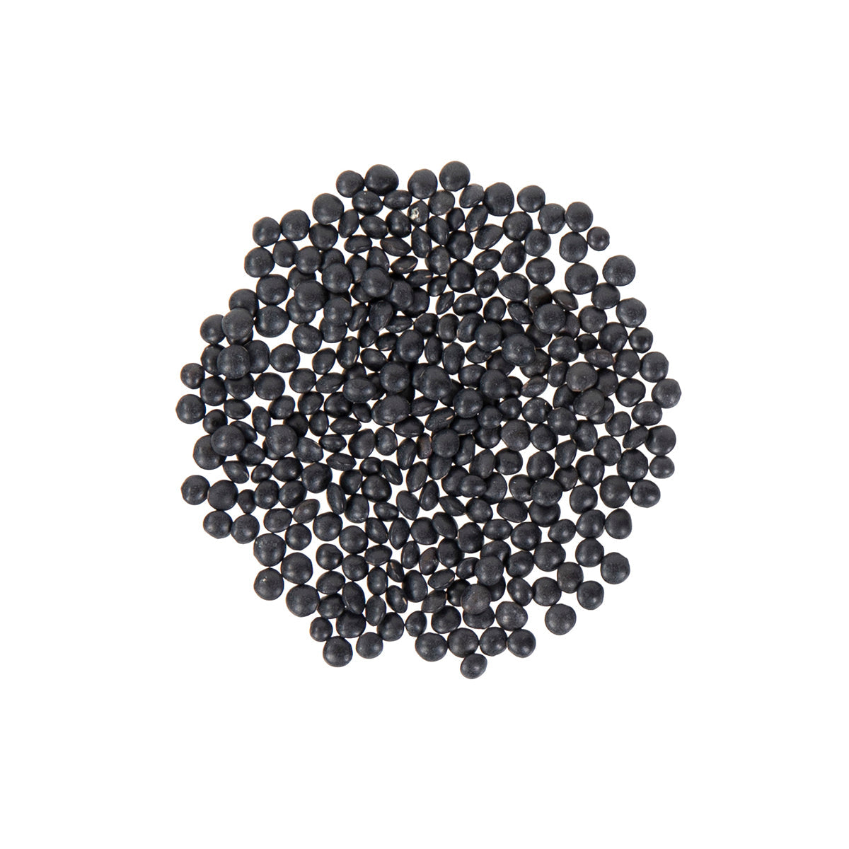 Wholesale BoxNCase Black Beluga Lentils-10 LB Bulk