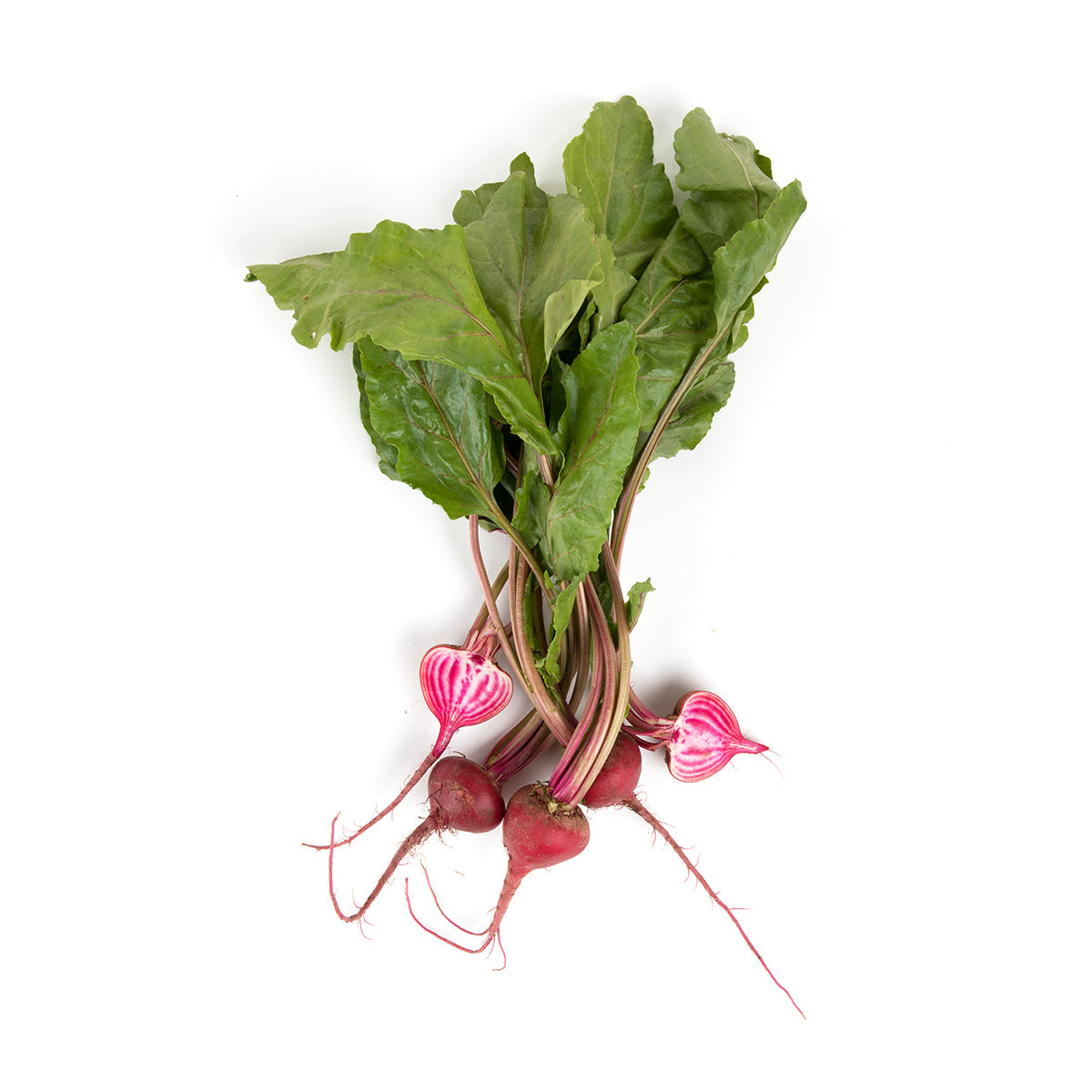 Wholesale BoxNCase Baby Candy Cane Beets- Bulk