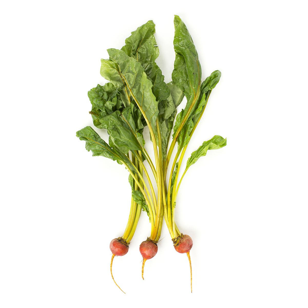 Wholesale BoxNCase Baby Golden Beets- Bulk