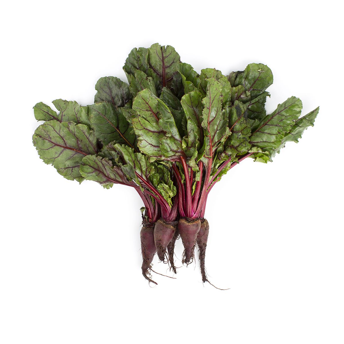 Wholesale BoxNCase Baby Red Beets- Bulk