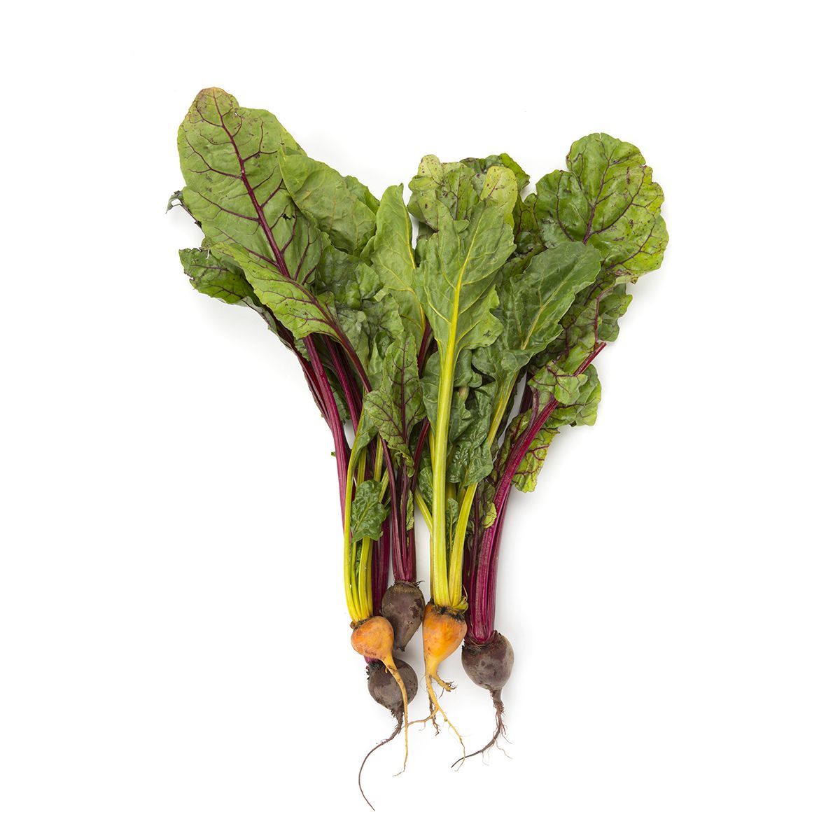 Wholesale BoxNCase Mixed Color Baby Beets- Bulk