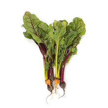 Wholesale BoxNCase Mixed Color Baby Beets- Bulk