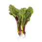Wholesale BoxNCase Mixed Color Baby Beets- Bulk