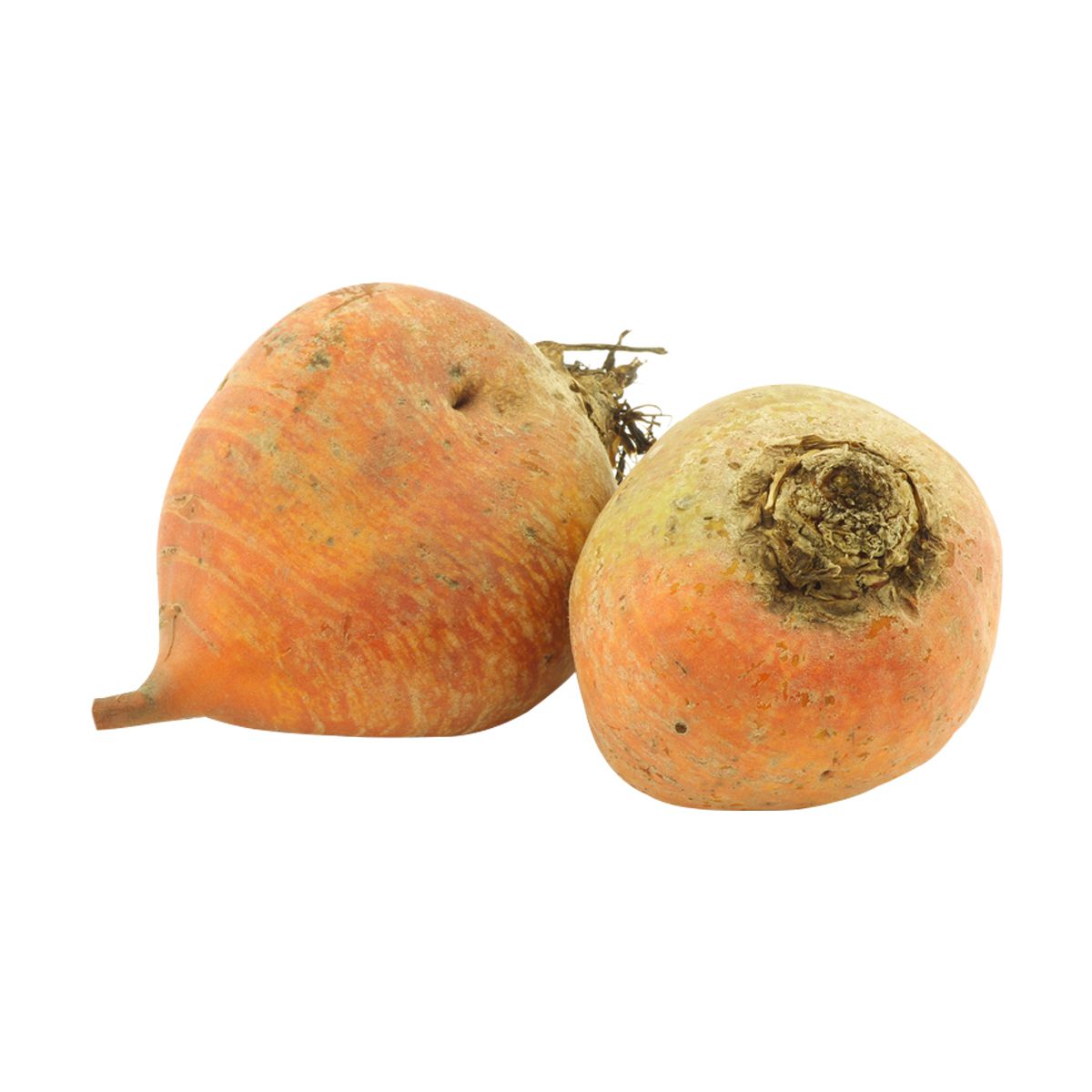 Wholesale BoxNCase Large Gold Beets- Bulk