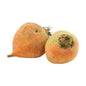 Wholesale BoxNCase Large Gold Beets- Bulk