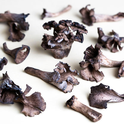 Wholesale BoxNCase Black Trumpet Mushrooms- Bulk