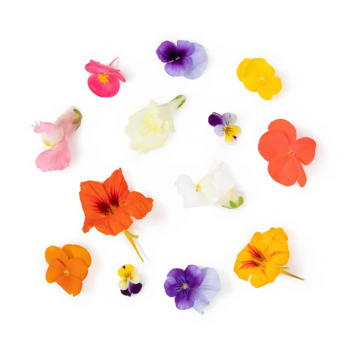 BoxNCase Organic Edible Flower Mix