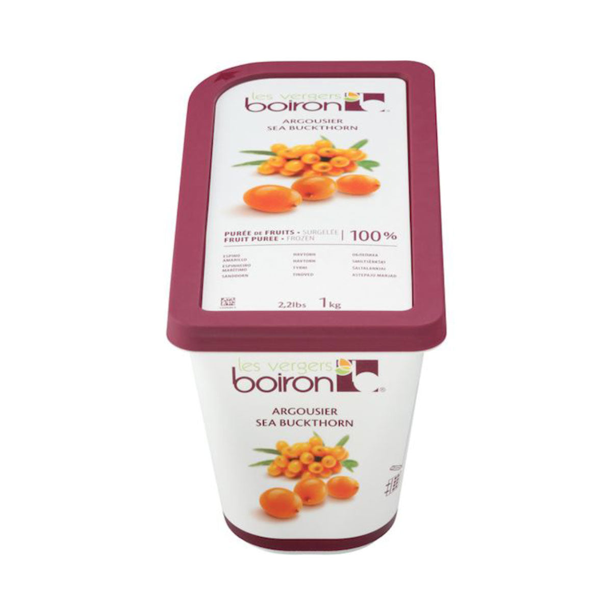 Wholesale Les Vergers Boiron Sea Buckthorn Puree-1 KG Bulk