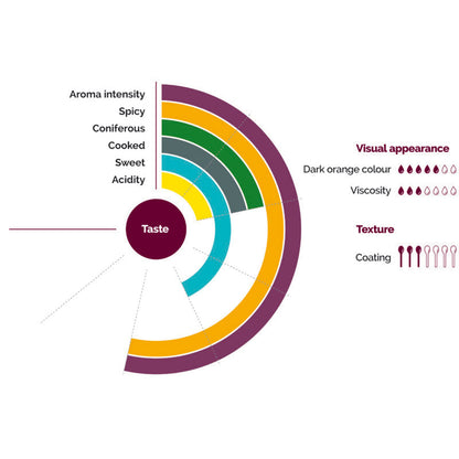 Wholesale Les Vergers Boiron Mango Puree- Bulk