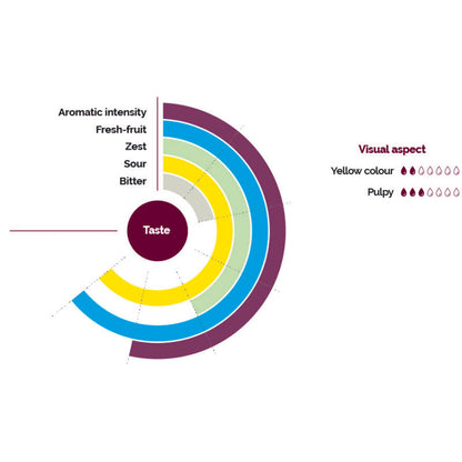 Wholesale Les Vergers Boiron Lemon Puree- Bulk