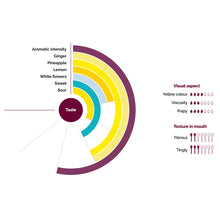 Wholesale Les Vergers Boiron Ginger Puree- Bulk