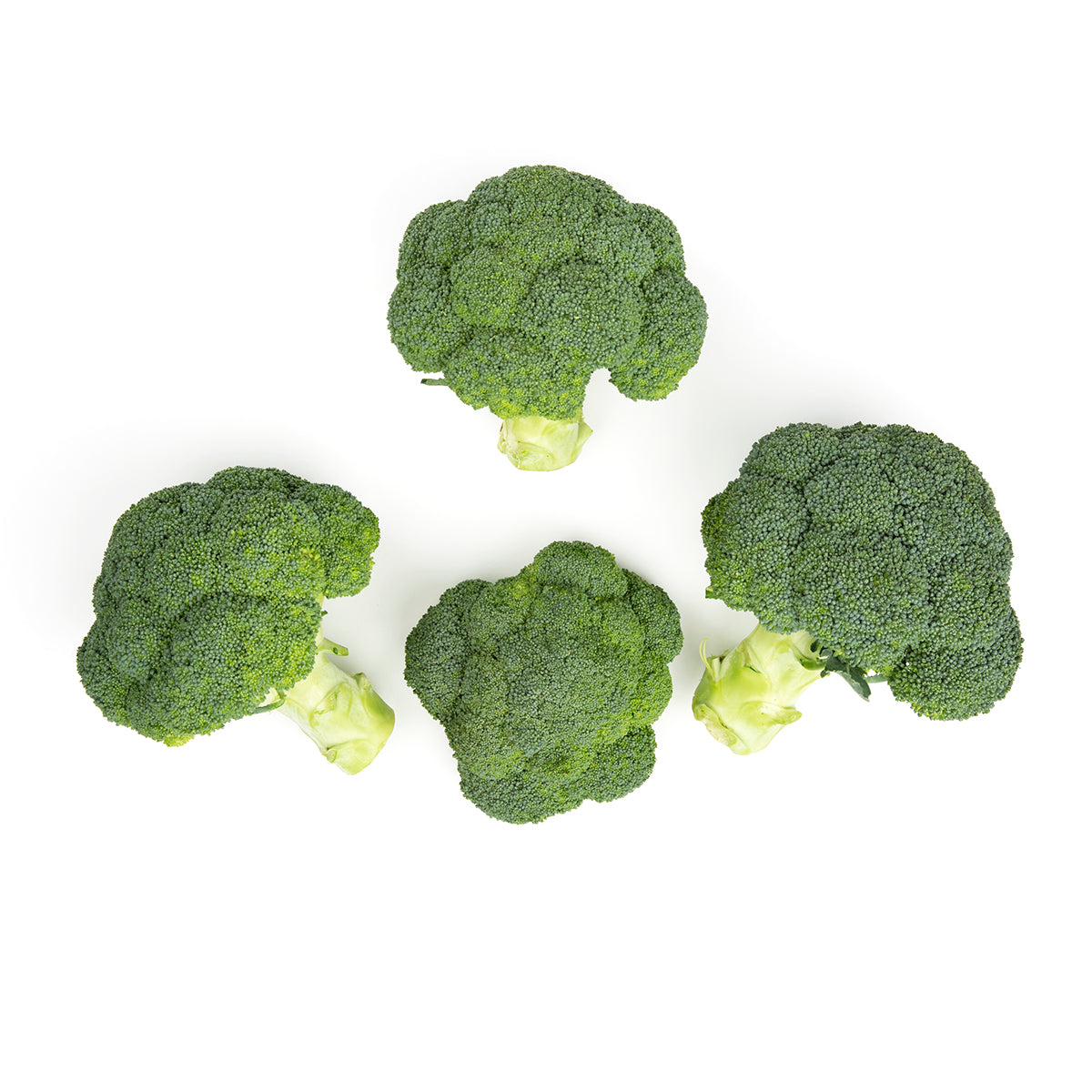 Wholesale Smith'S Farm Stag Brand Broccoli Crowns-20 LB Bulk