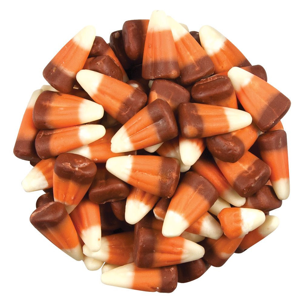 Wholesale Zachary Indian Corn- Bulk