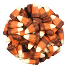 Wholesale Zachary Indian Corn- Bulk