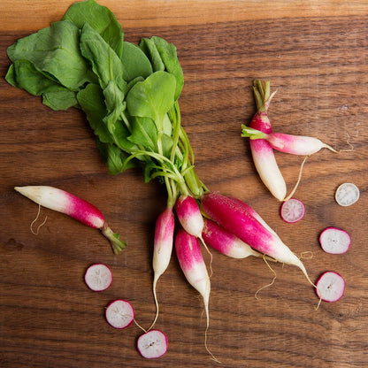 Wholesale BoxNCase French Breakfast Radishes- Bulk