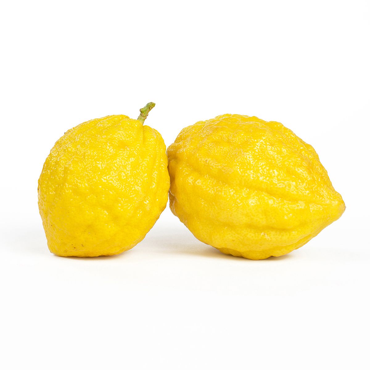 Rising C Ranches Etrog Citron