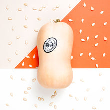 Wholesale BoxNCase Butternut Squash- Bulk