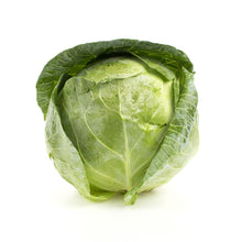 Wholesale BoxNCase Green Cabbage- Bulk