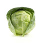 Wholesale BoxNCase Green Cabbage- Bulk