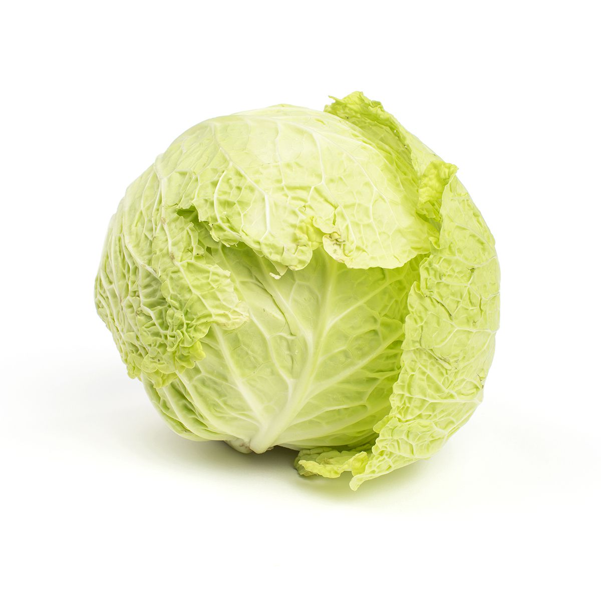 Wholesale BoxNCase Savoy Cabbage-40 LB Bulk