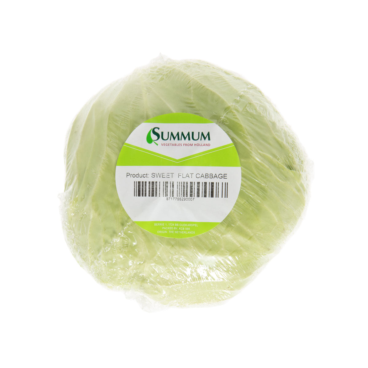 Wholesale BoxNCase Flat Cabbage- Bulk