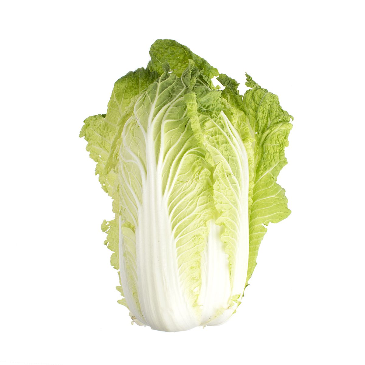 Wholesale BoxNCase Napa Cabbage-30 LB Bulk