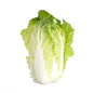 Wholesale BoxNCase Napa Cabbage- Bulk
