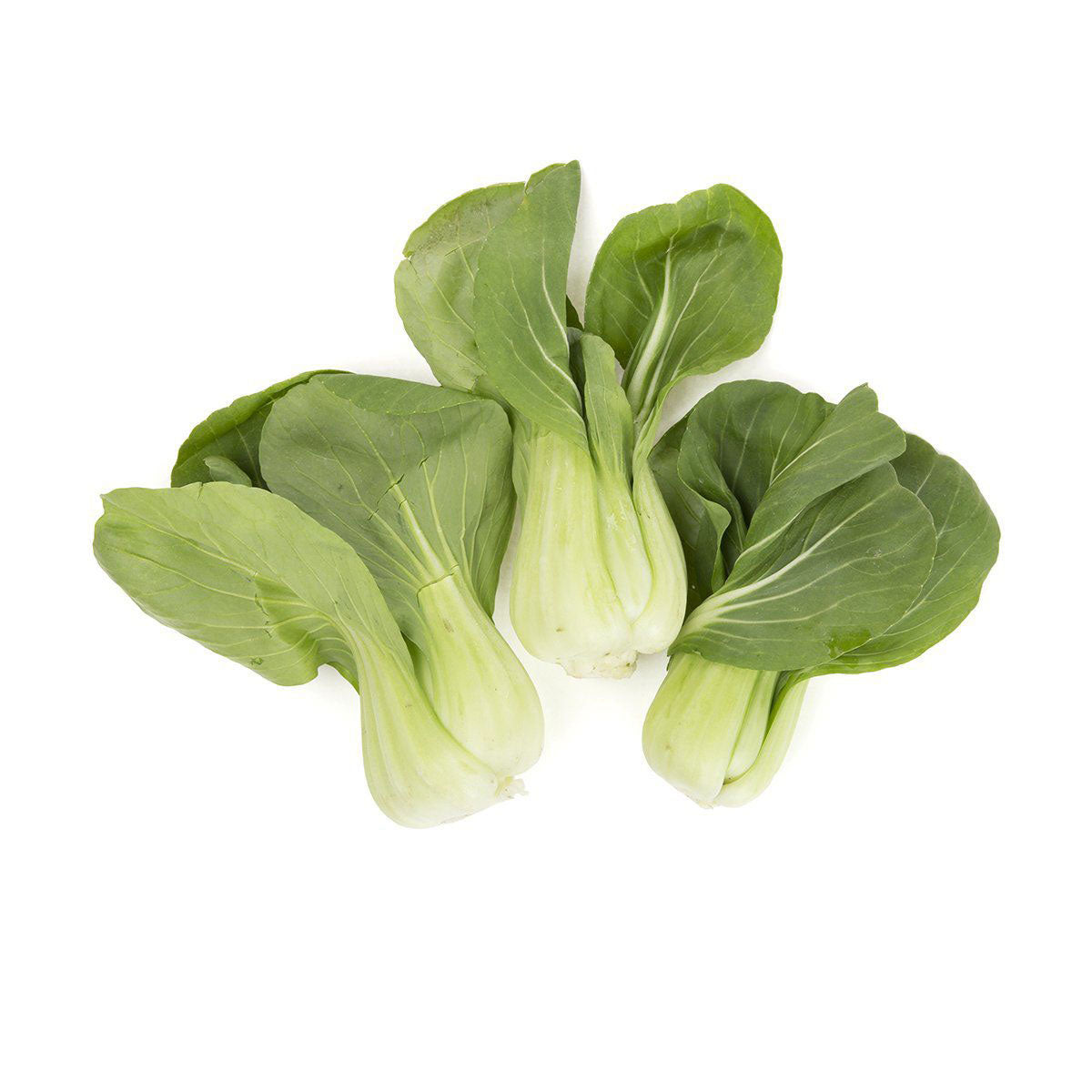 Wholesale BoxNCase Baby Bok Choy-3 Pack Bulk