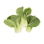 Wholesale BoxNCase Organic Baby Bok Choy- Bulk