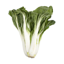 Wholesale BoxNCase Bok Choy- Bulk