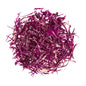 Wholesale BoxNCase Shredded Red Cabbage- Bulk