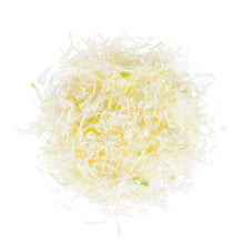 Wholesale BoxNCase Shredded Green Cabbage 5 LB- Bulk