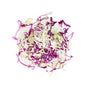 Wholesale BoxNCase Mixed Red and Green Shredded Cabbage- Bulk