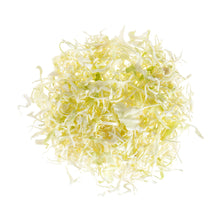 Wholesale BoxNCase 3/8 Shredded Green Cabbage 5 LB- Bulk