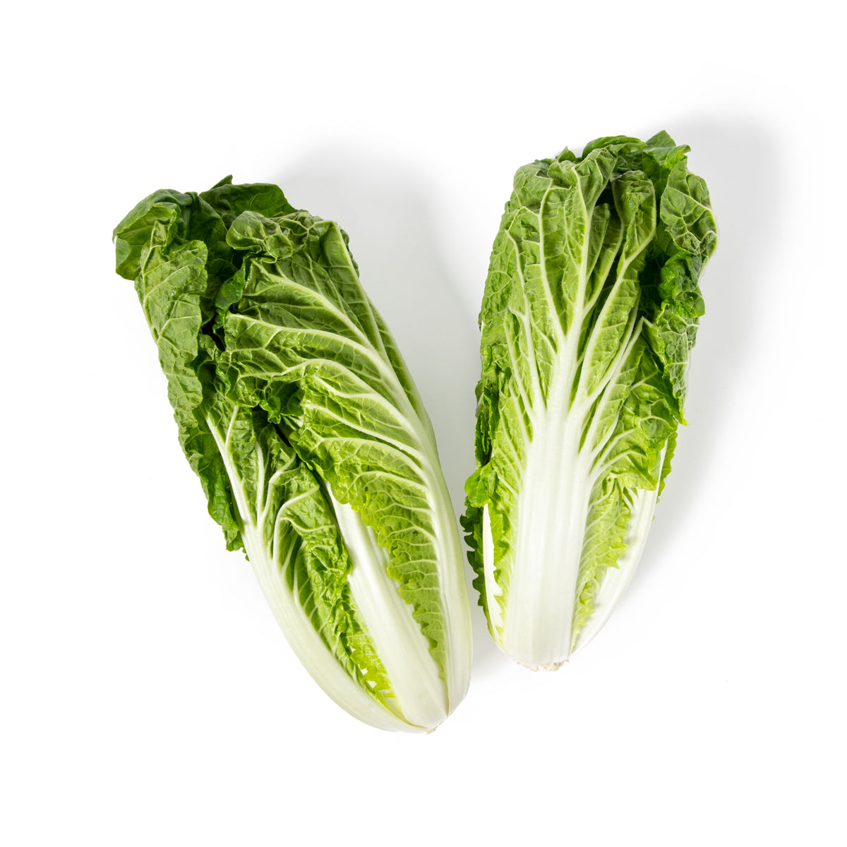 Wholesale Hitchcock Farms Napa Cabbage Hearts- Bulk