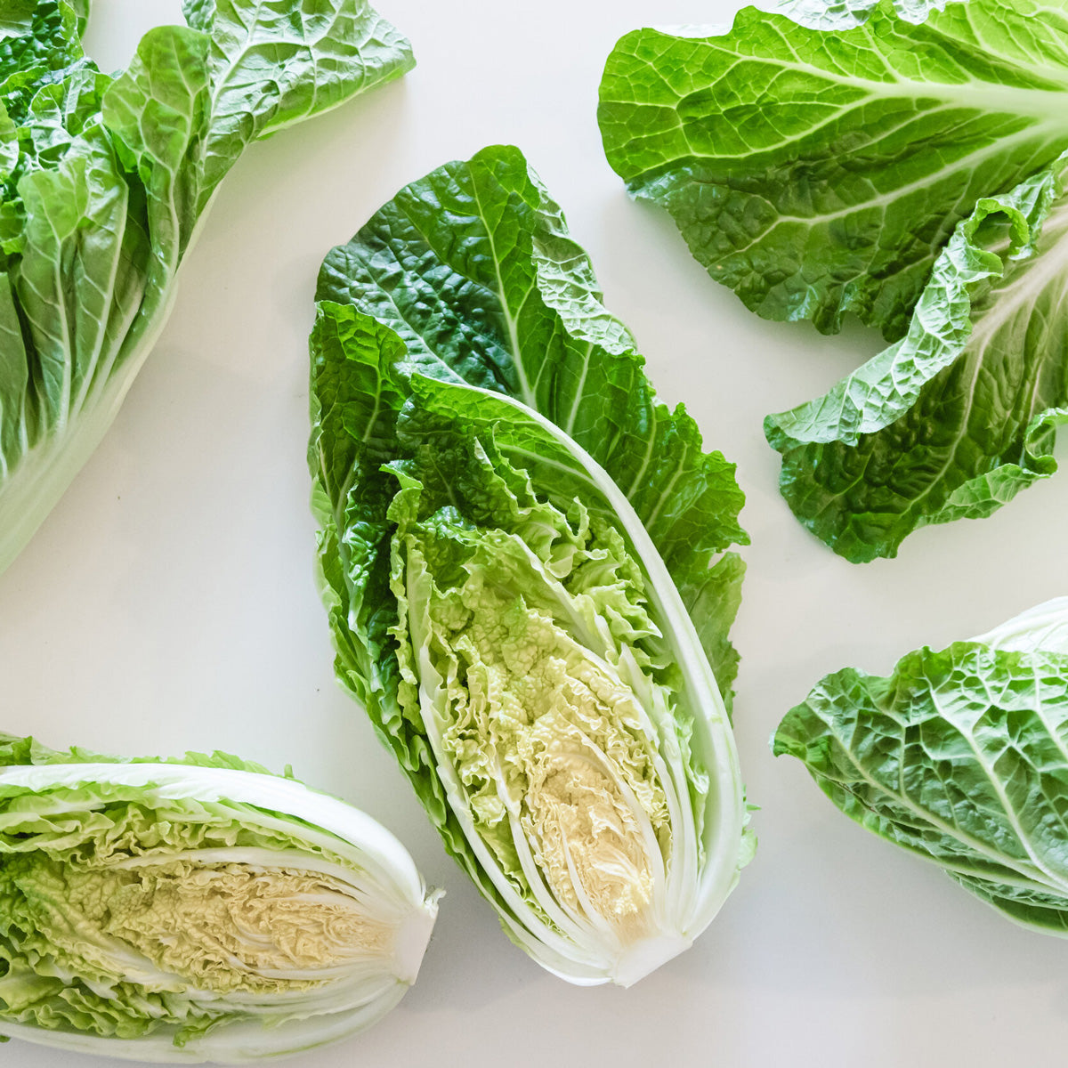 Wholesale Hitchcock Farms Napa Cabbage Hearts- Bulk