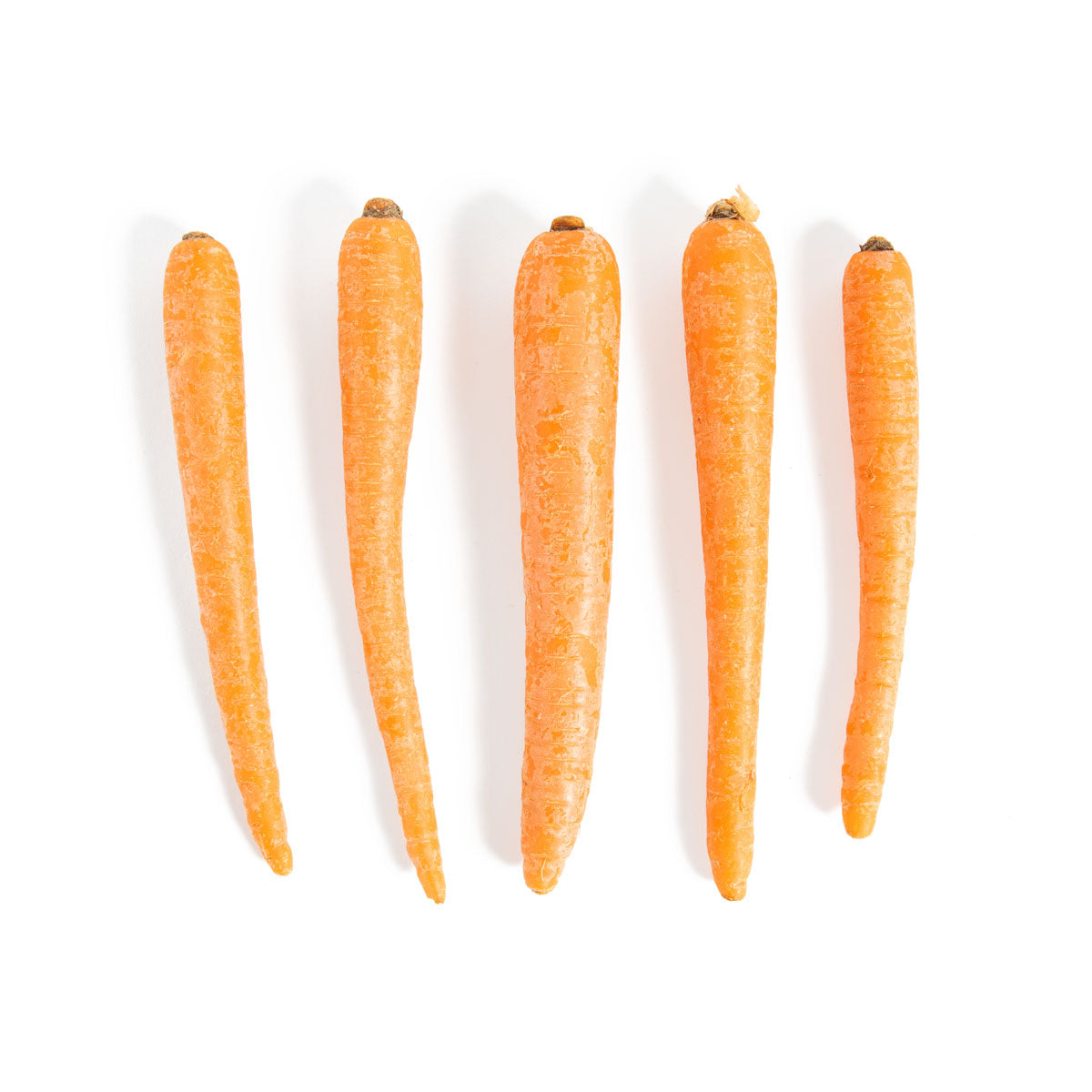 BoxNCase Carrots 1 lb